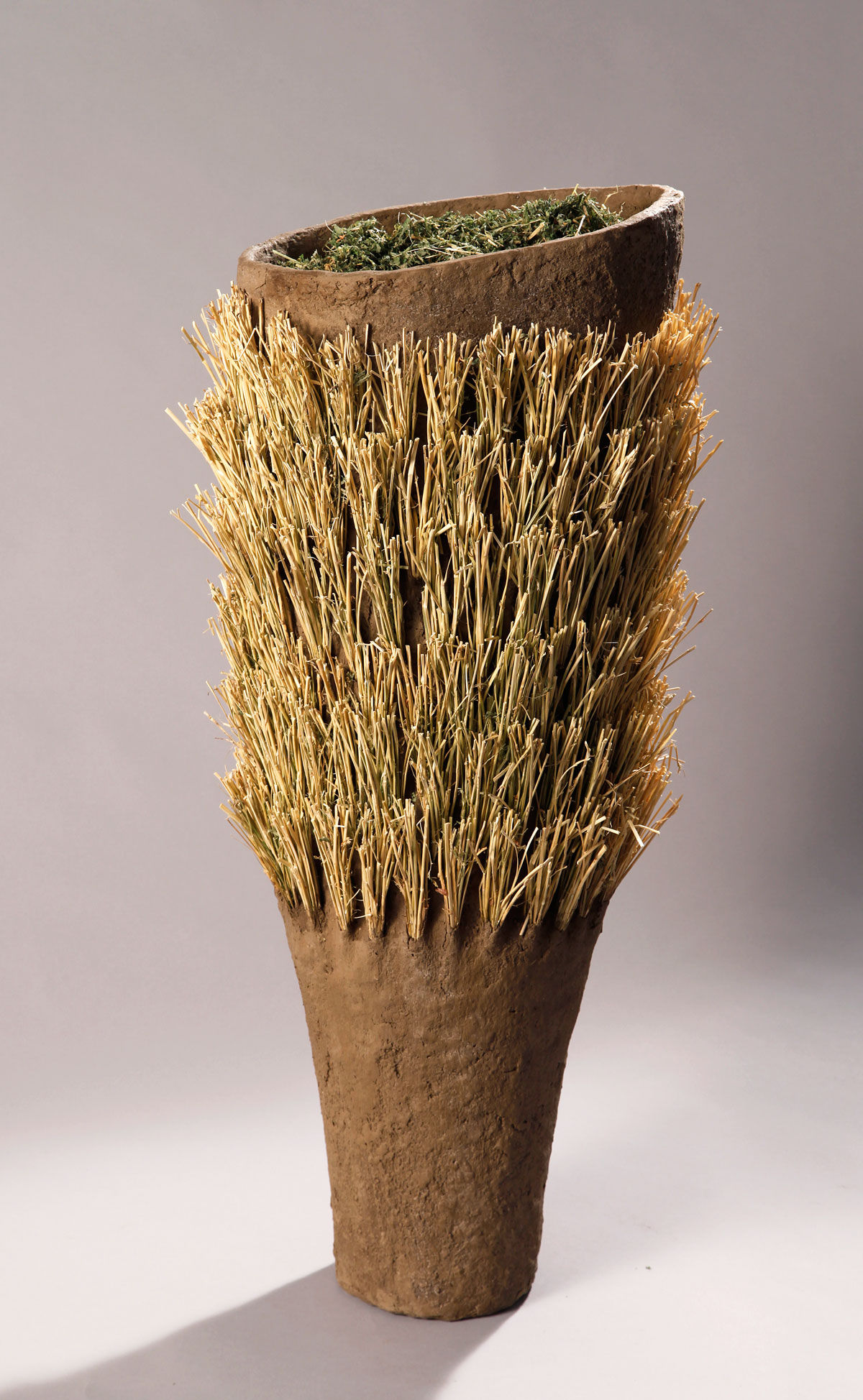 Vase of Alfalfa For the Trinity River